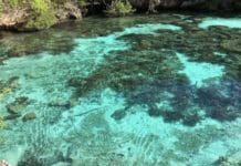 Aquarium Nature à Maré